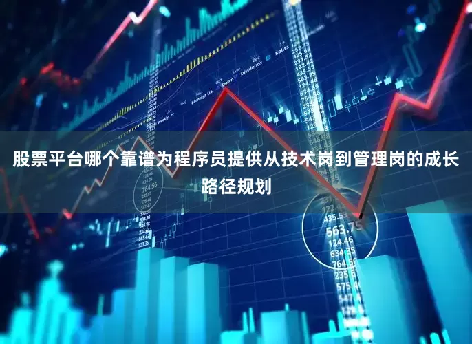 股票平台哪个靠谱为程序员提供从技术岗到管理岗的成长路径规划