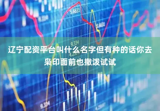 辽宁配资平台叫什么名字但有种的话你去枭印面前也撒泼试试