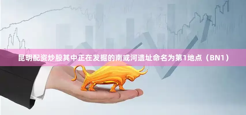 昆明配资炒股其中正在发掘的南或河遗址命名为第1地点（BN1）