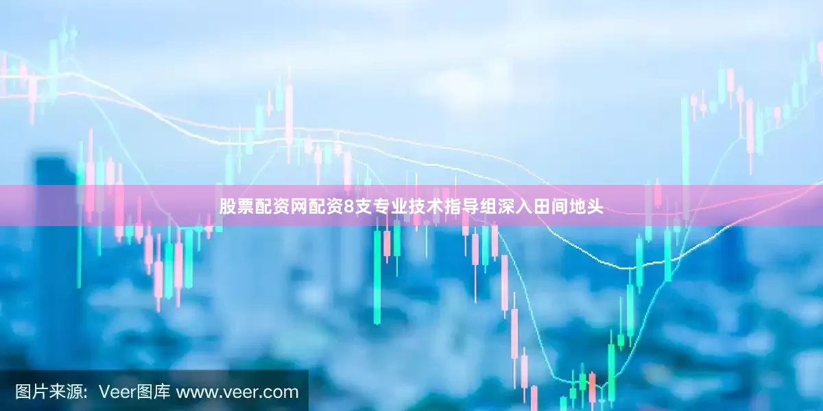 股票配资网配资8支专业技术指导组深入田间地头